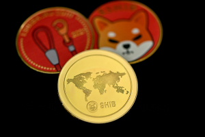 Is Shiba Inu a Good Investment?